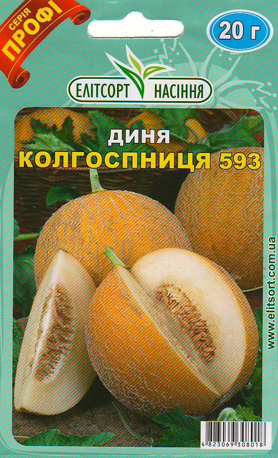 колхоз