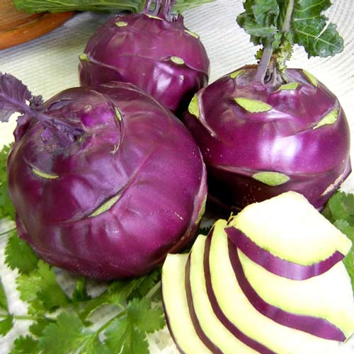 кольрабі синя