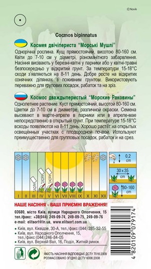 kosmeya-morski-mushli-1