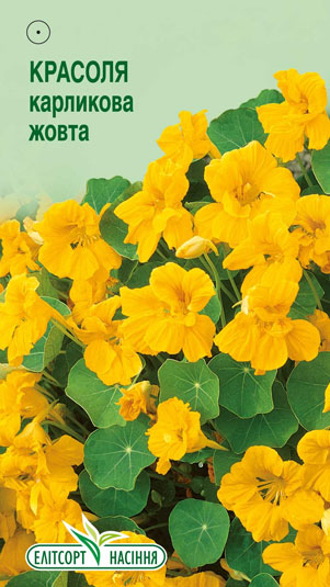 krasolya-karlykova-zhovta