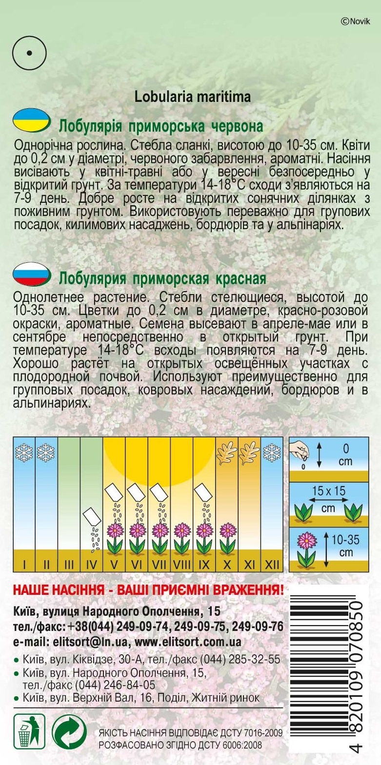 лобулари-червона1245