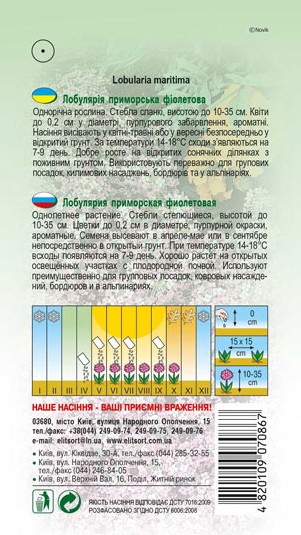 lobulyariya-fioletova-1