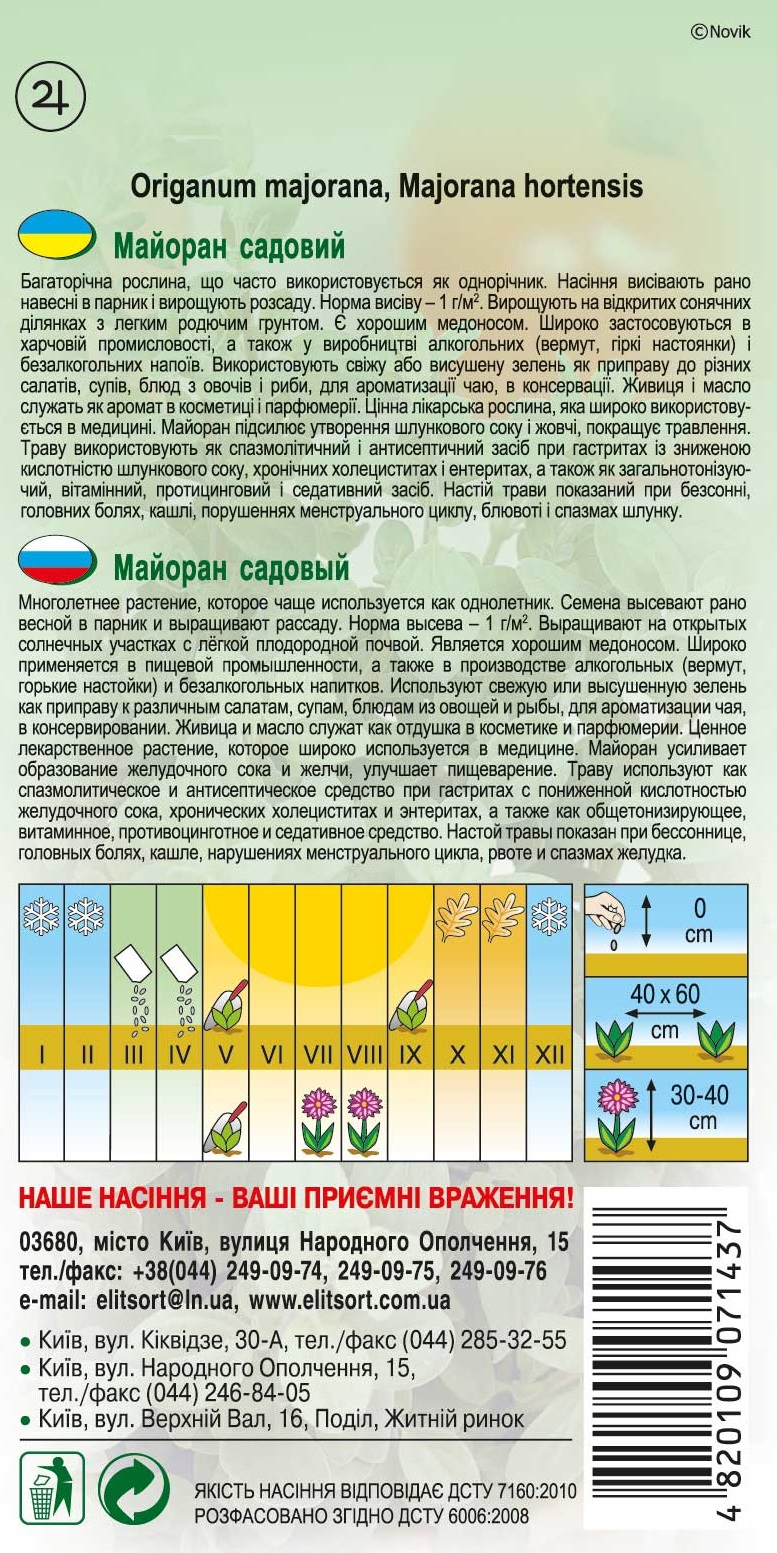 майоран-багатоничний-садовий1