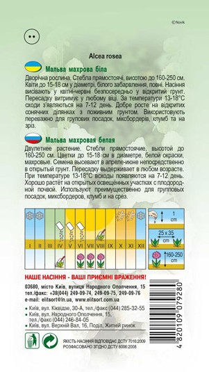 malva-mahrova-bila-1