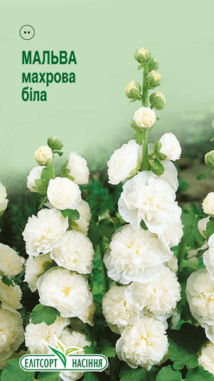 malva-mahrova-bila