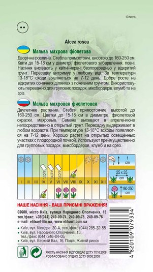 malva-mahrova-fioletova-1