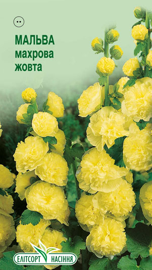 malva-mahrova-zhovta