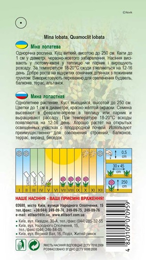 mina-lopateva-1