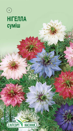 nigela-damasska-sumish
