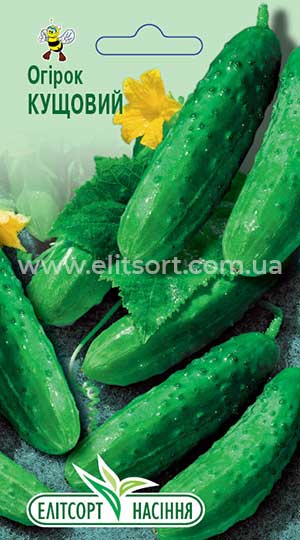 Огірок Кущовий Огірок Кущовий