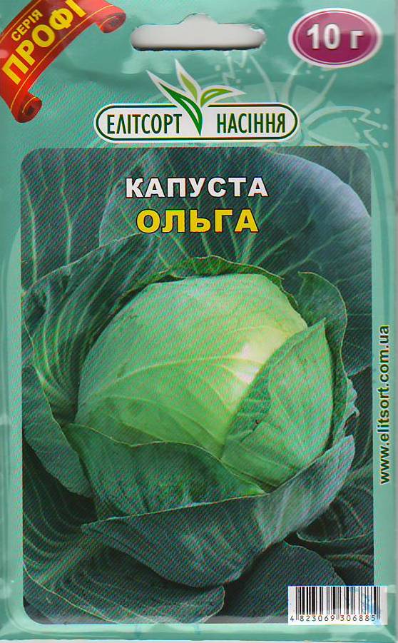 ольга