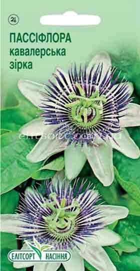 passiflora_kavalerska.jpg