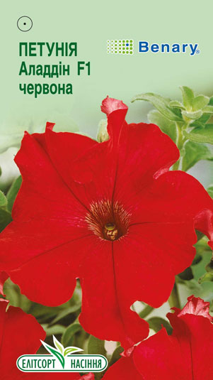 petuniya-aladdin-f1-chervona