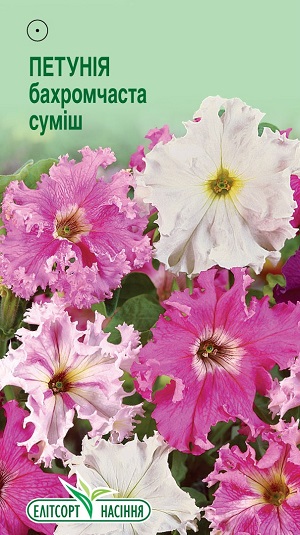 petuniya-bahromchasta-sumish