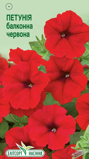 petuniya-balkonna-chervona