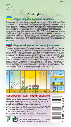 petuniya-balkonna-fioletova-1
