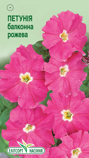 petuniya-balkonna-rozheva