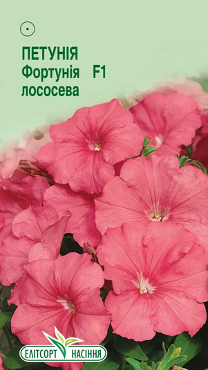 petuniya-fortuniya-lososeva-f1