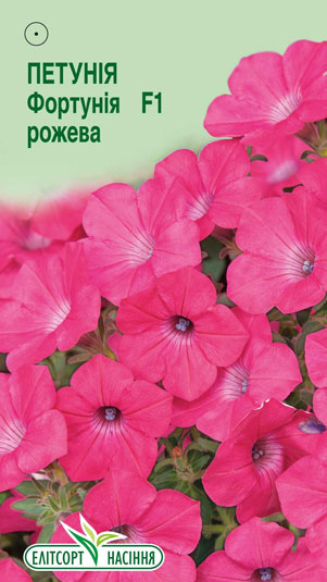 petuniya-fortuniya-rozheva-f1