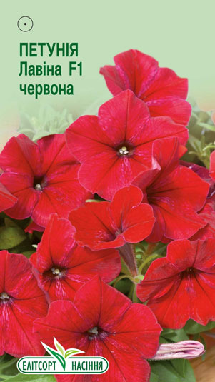 petuniya-lavina-chervona-f1