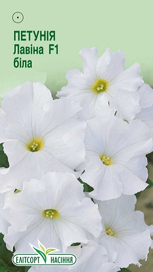 petuniya-lavina-f1-bila1234