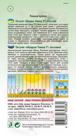 petuniya-lavina-f1-lososeva-1