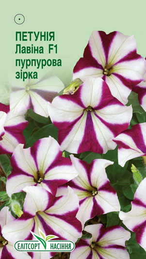 petuniya-lavina-purpurova-zirka-f1