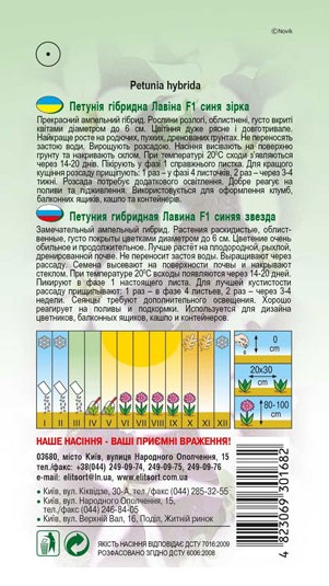 petuniya-lavina-synya-zirka-f1-1