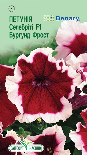 петуния-селебтиты-бургунд-фрост