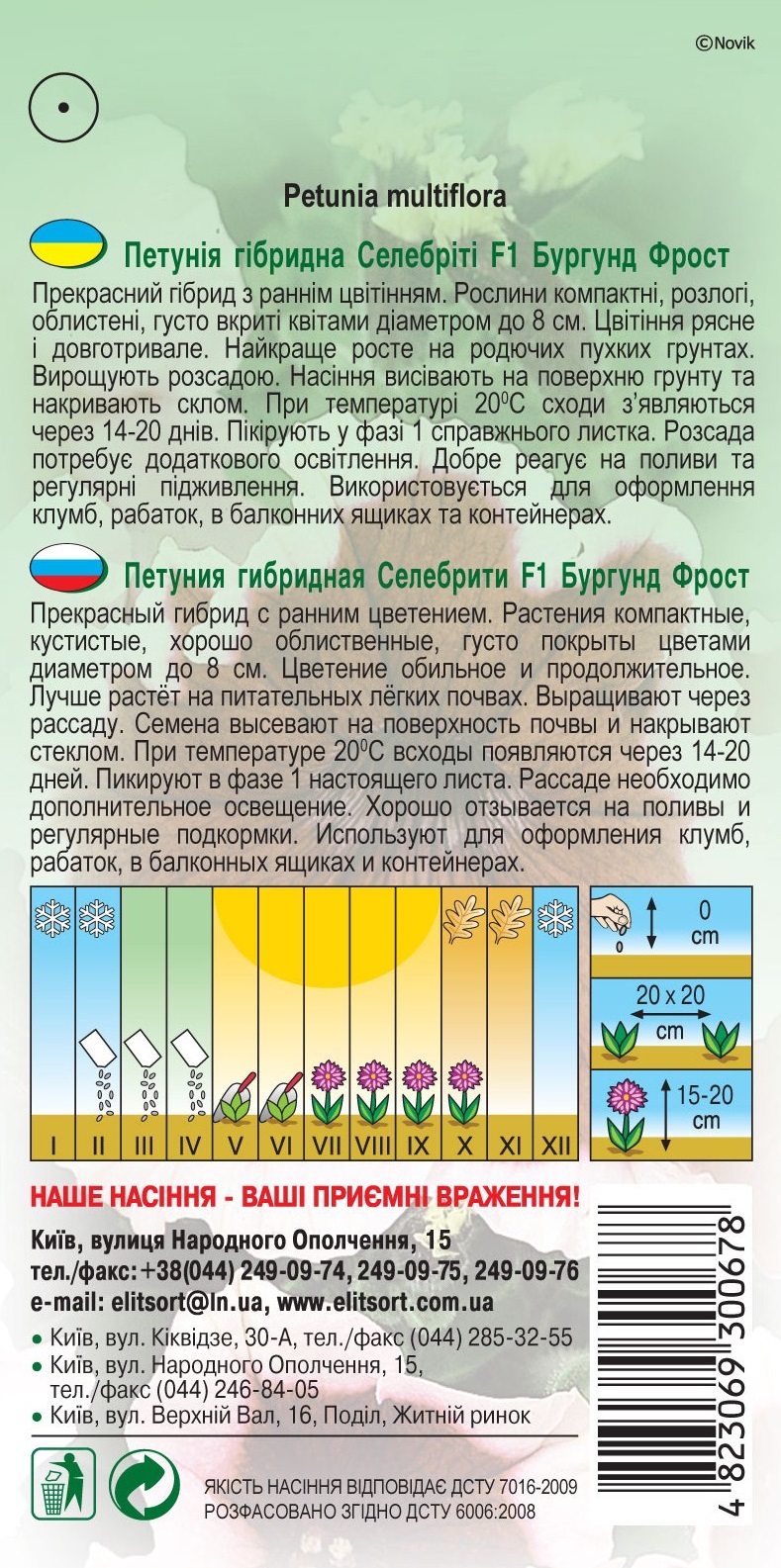 петуния-селебтиты-бургунд-фрост1