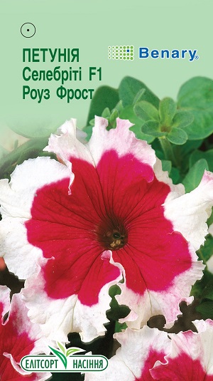 петуния-селебтиты-росе-фрост1