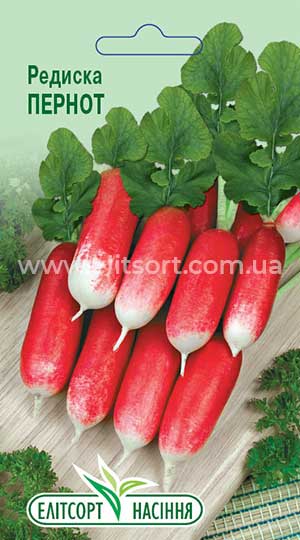 Редиска Пернот Редиска Пернот