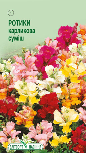 rotyky-karlykovi-sumish