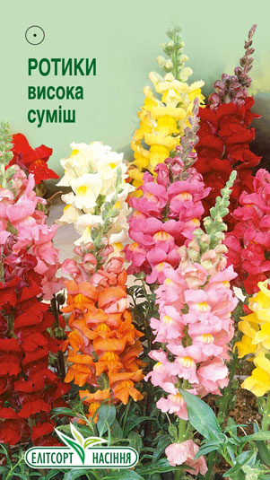 rotyky-vysoka-sumish