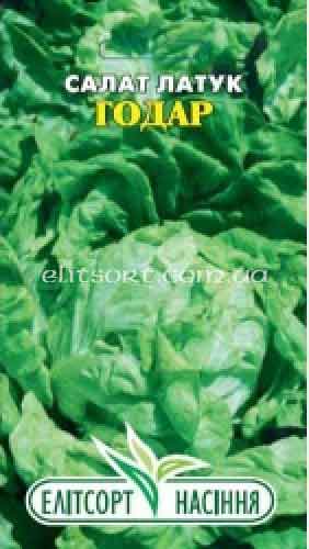 salat_godar.jpg