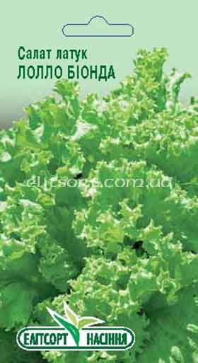 salat_lollo_bionda.jpg