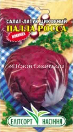 salatniy_tsikoriy_palla_rossa.jpg