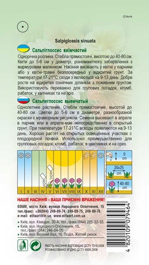 salpiglosis-sumish-1