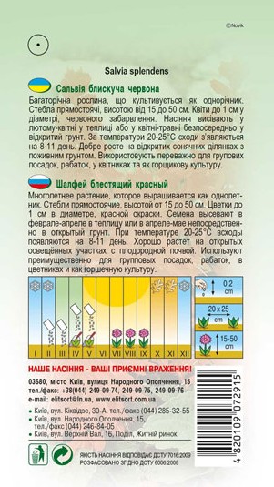 salviya-blyskucha-chervona-1