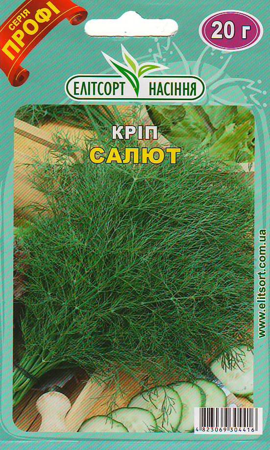 салют