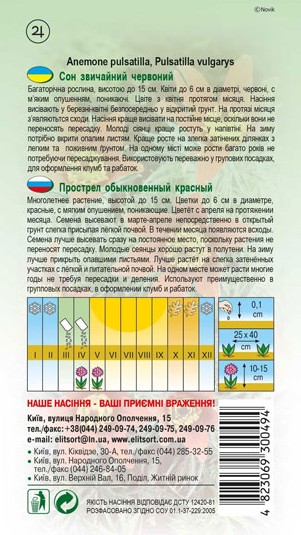 son-chervonyj-1