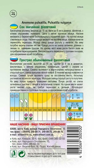 son-fioletovyj-1