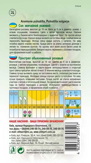 son-rozhevyj-1