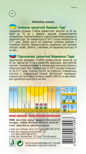 sonyashnyk-vedmedyk-teddi-1