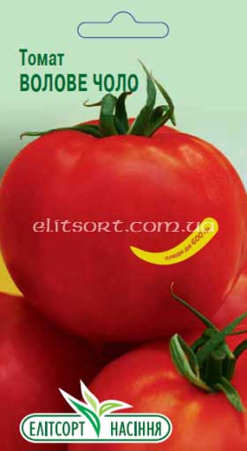 tomat-bichiy-lob.jpg