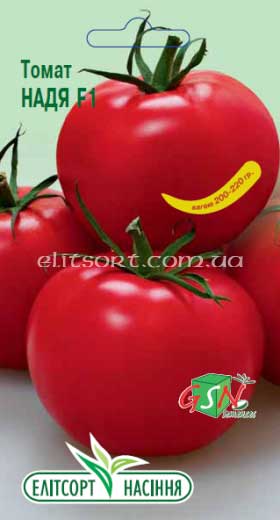 tomat-nadj-f1.jpg