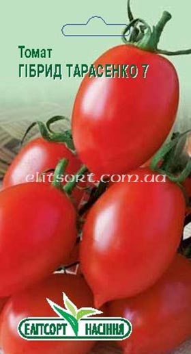 tomat_gibrid_tarasenka_7.jpg