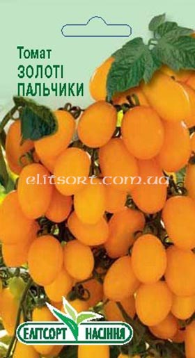 tomat_zoloti_palchiki.jpg
