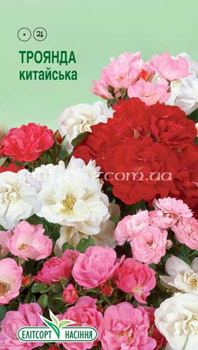 troianda-kytaiska.jpg