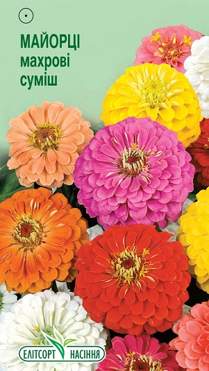 tsiniya-mahrova-sumish1235